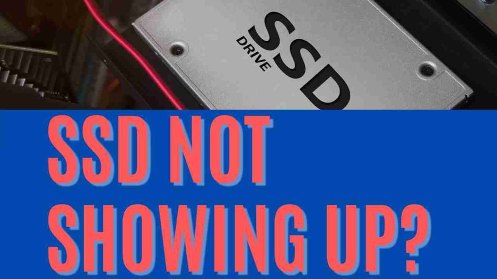 SSD NOT Showing Up? Windows 10 [5 EASY Solutions 2024]
