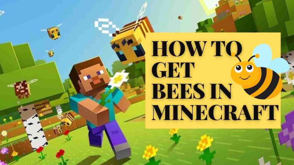 How to Get Bees in Minecraft? Beehive Minecraft? [2024]