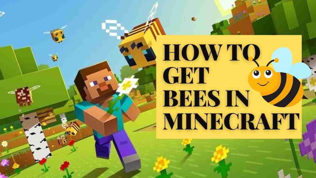 How to Get Bees in Minecraft?