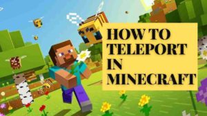 How to Teleport in Minecraft?
