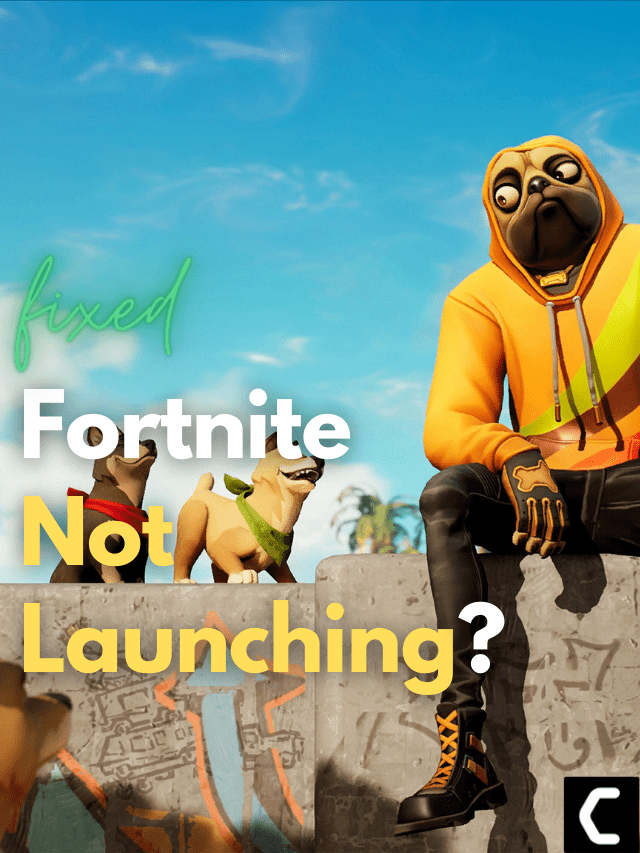 Fortnite Not Launching? Fortnite Won’t Launch? [Best FIX]