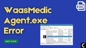 WaasMedic Agent.exe high disk usage
