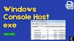 console windows host