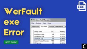 werfault.exe application error
