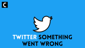 Twitter Something Went Wrong