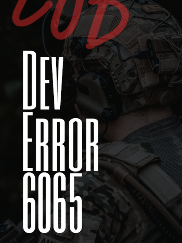 Dev Error 6065? COD Modern Warfare Fatal Error?