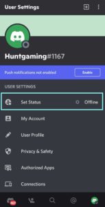 discord mobile Appear Offline on Discord, discord status, discord server status, discord status,  idea, discord do not distrub 
