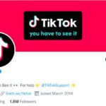 TikTok Not Launching