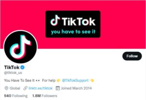 TikTok Not Launching