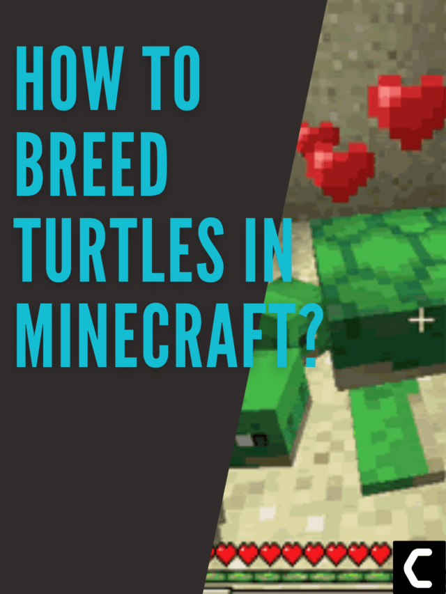 How To Breed Turtles in Minecraft? Best Guide TCG