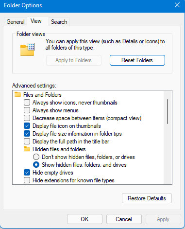 folder option Show Hidden files on Windows 11 window show hidden file
