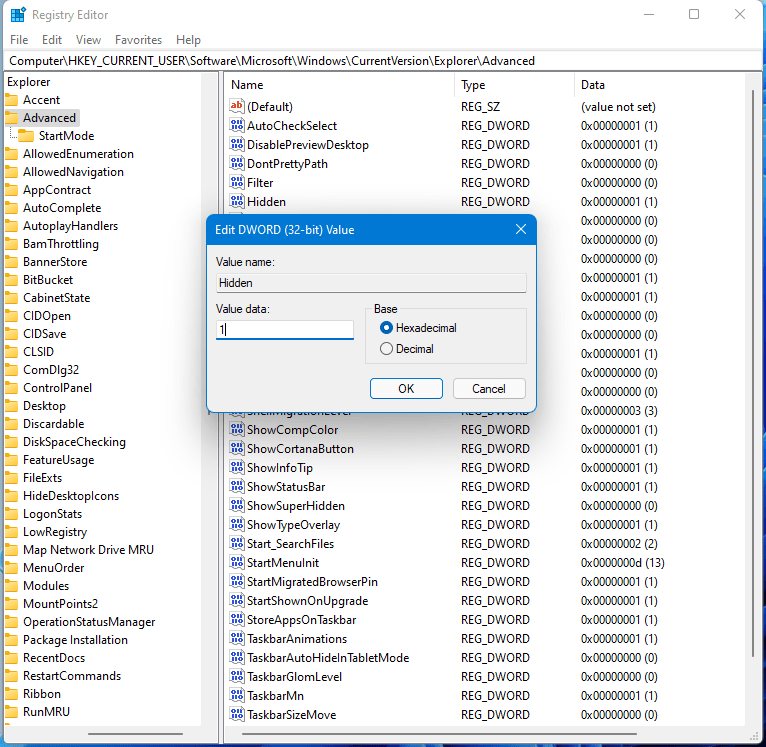 How to Show Hidden files on Windows 11 Best Tutorial