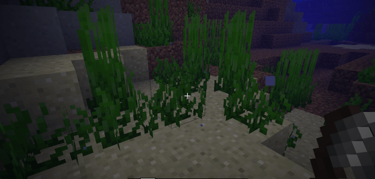 How to Make a Turtle Shell in Minecraft, Seagrass