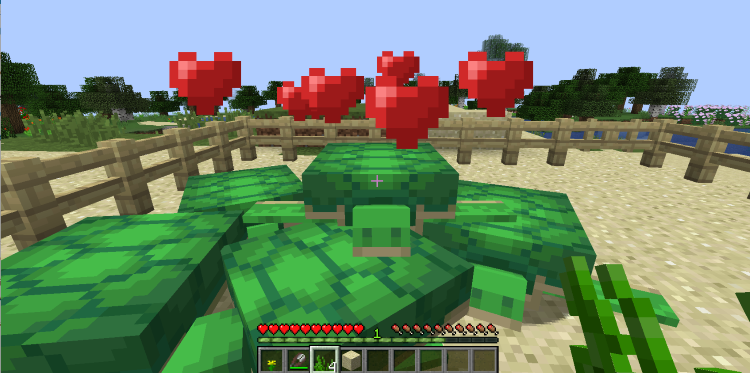 How to Make a Turtle Shell in Minecraft, Feed the Turtles