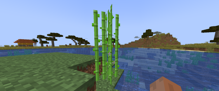 Minecraft Fermented Spider Eye, sugar canes