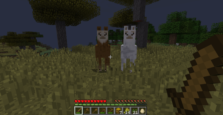 Tame and Ride a Llama in Minecraft, Llamas