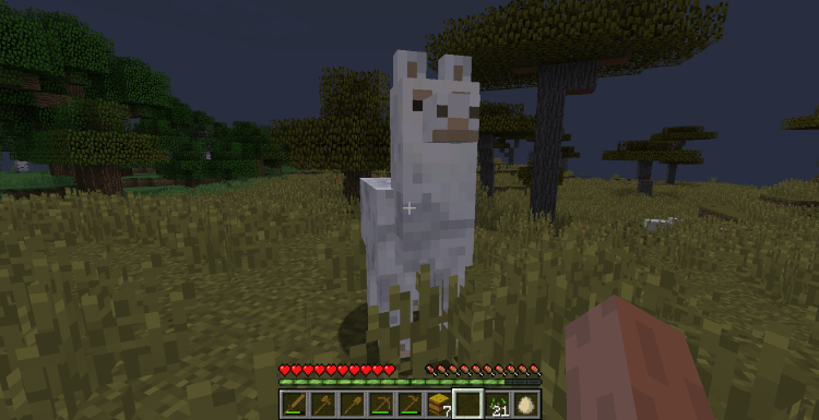 Tame and Ride a Llama in Minecraft, Mout the Llama empty-handed