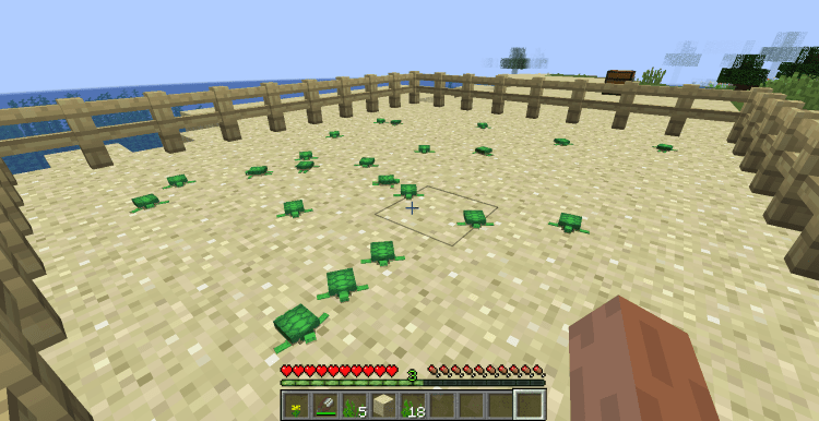 How to Make a Turtle Shell in Minecraft, Baby turtles will hatch
