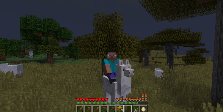 Tame and Ride a Llama in Minecraft, Ride the Llama