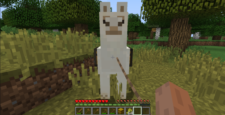 Tame and Ride a Llama in Minecraft, use the lead on the 