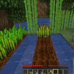 cookies ine minecraft fully grown wheat 1