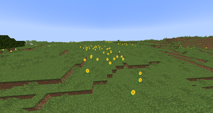 Sunflower Plains: