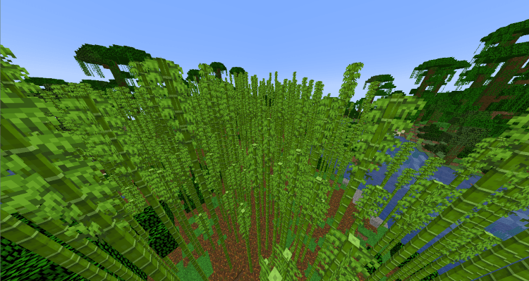 Bamboo Jungle: