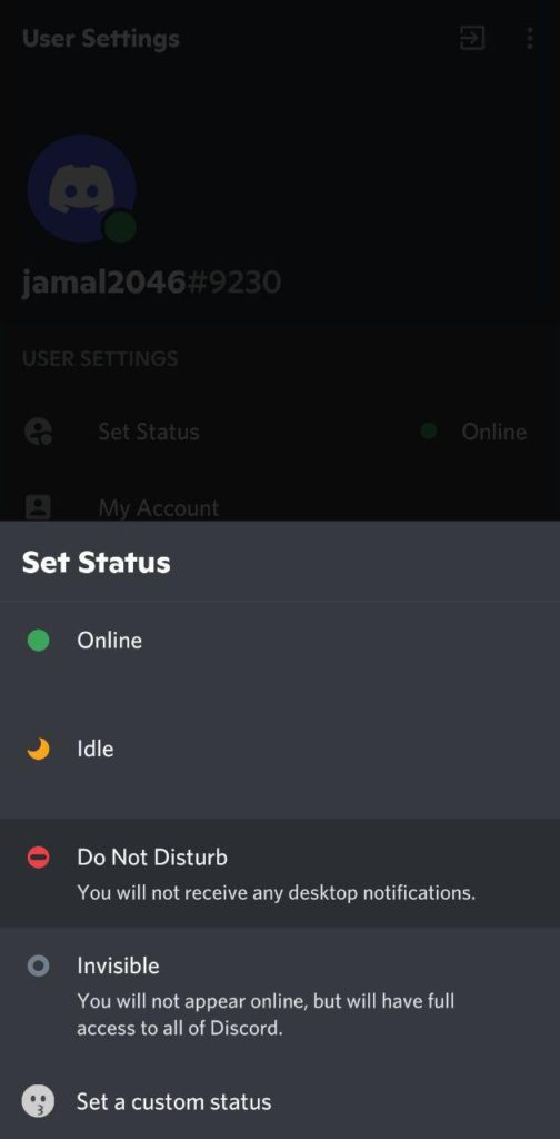 How To Set Discord Do Not Disturb(D&D), d&d Discord, do not disturb discord