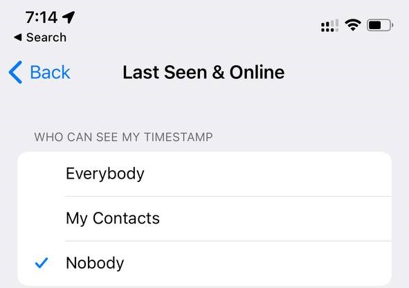 How to Hide Your Last Seen on Telegram?