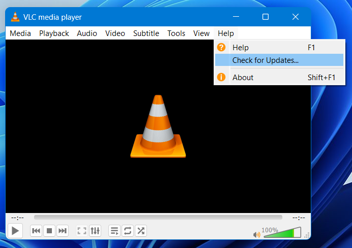 'Your Input Can't be Opened' Error On VLC Windows 11/10?