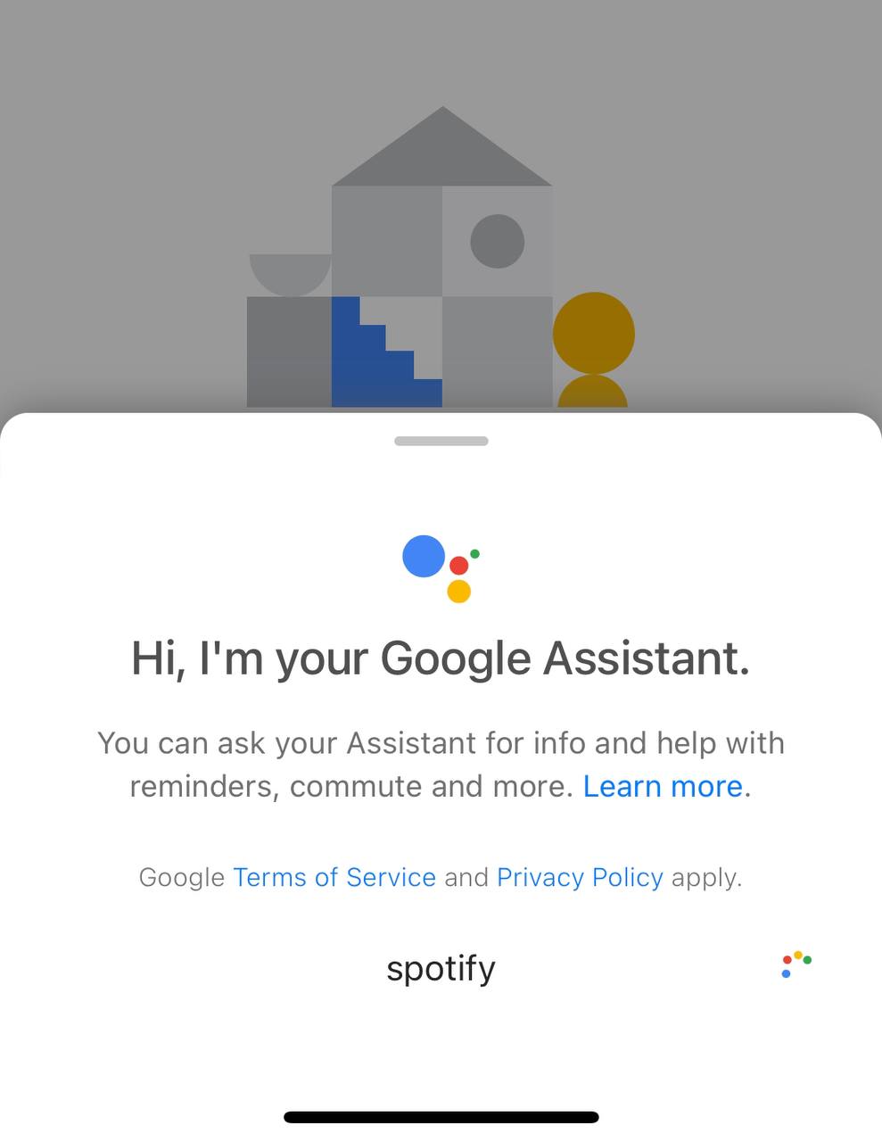 settings google home