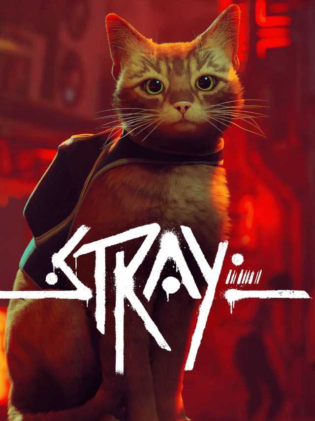 STRAY RECEIVES A GOOD META CRTIC SCORE!
