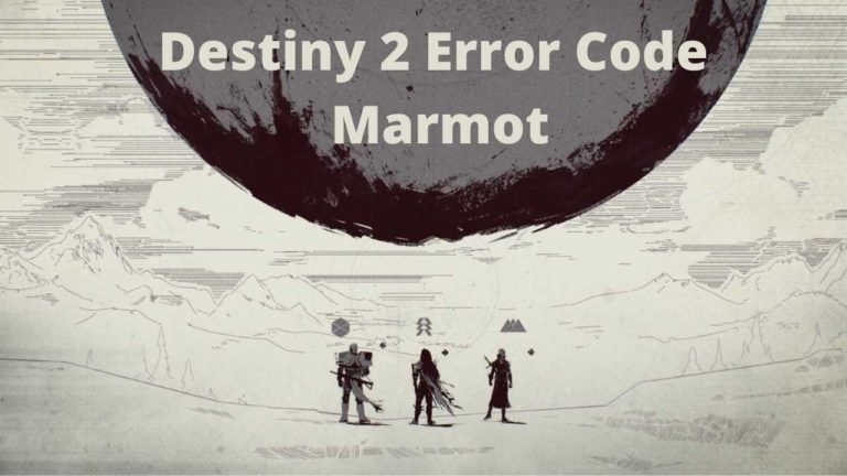 Destiny 2 Error Code Marmot [Super Guide]