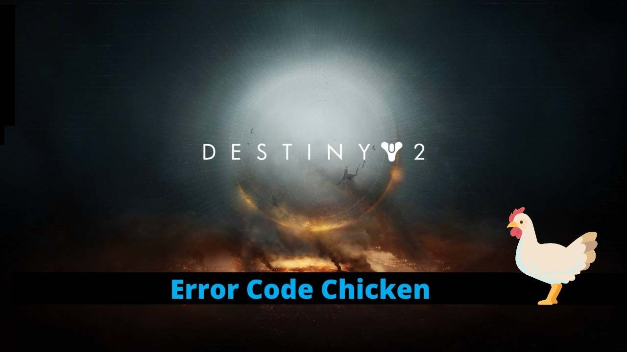 erro code chicken