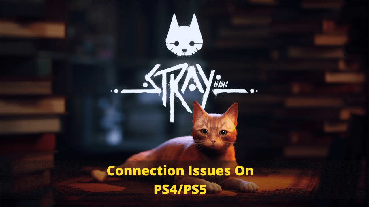 Stray Connection Issues On PS4/PS5? Here Are 5 Quick Fixes!