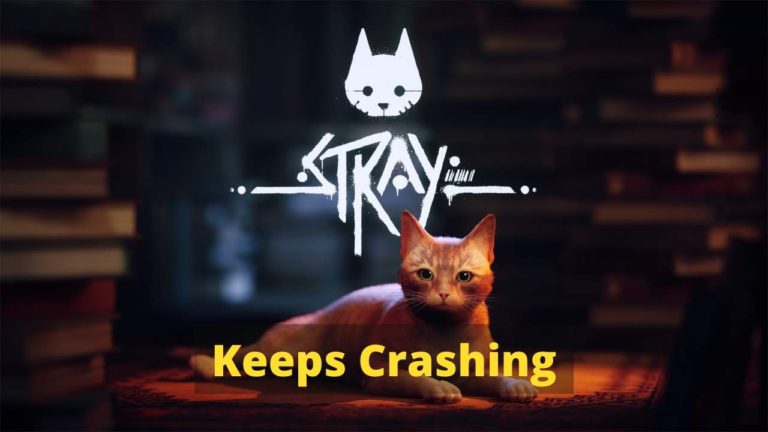 Stray Keeps Crashing On PC