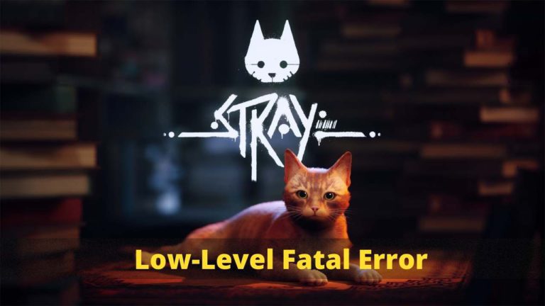 Stray Low Level Fatal error