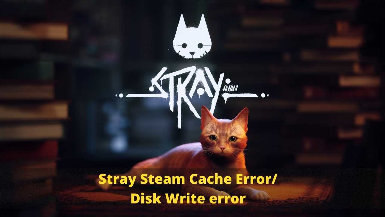 Stray Steam Cache Error