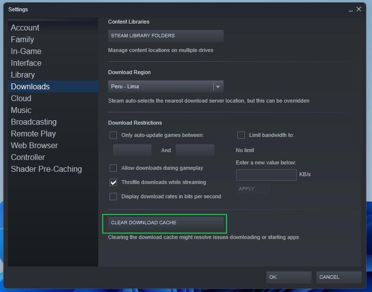 steam download setting
