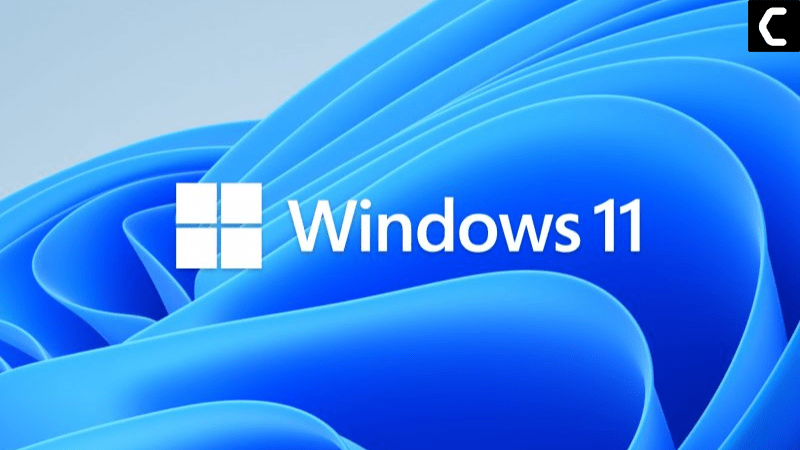 Should you UPGRADE to Windows 11?