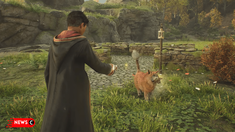 Hogwarts Legacy Showcases Kneazle In a Recent Clip