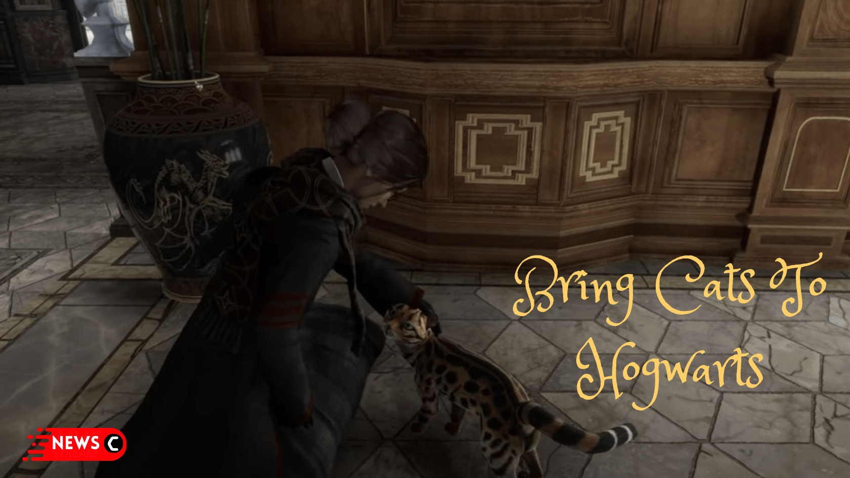 Hogwarts Legacy Lets You Pet Cats