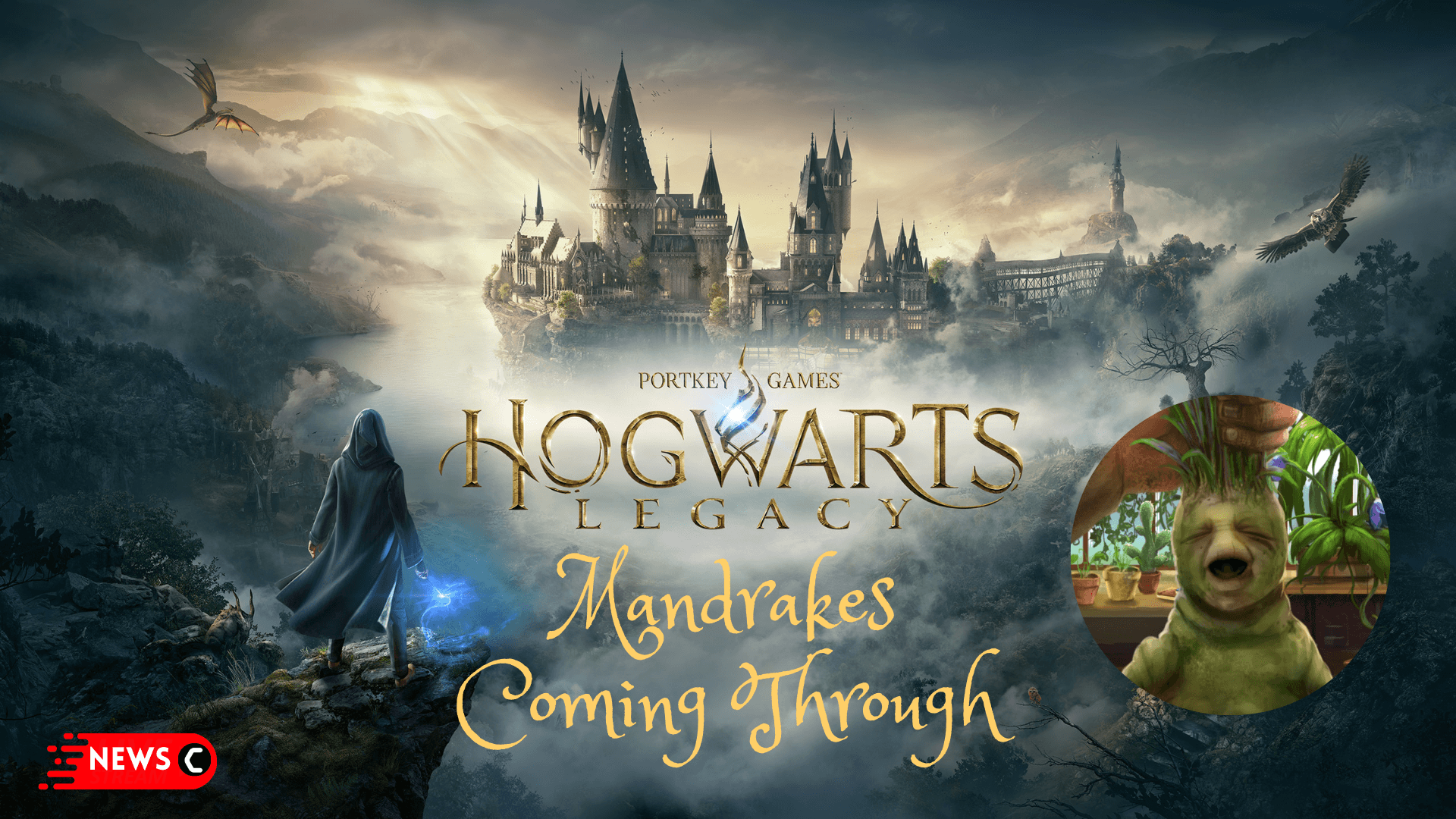 Players can now use mandrakes as a weapon in Hogwarts Legacy