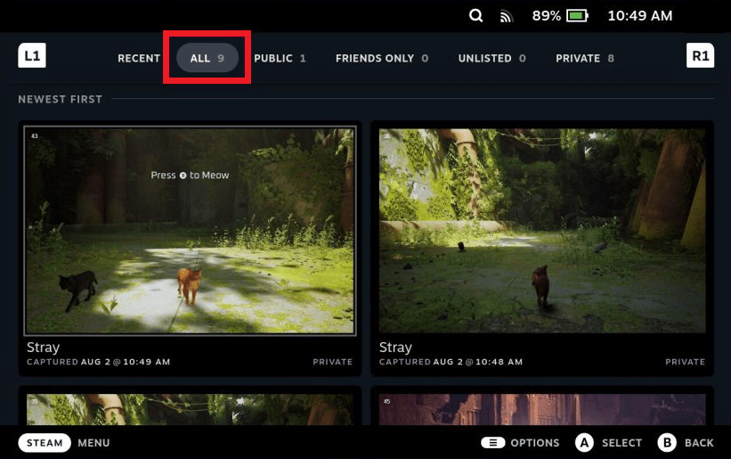 How To Take and Find Hidden Screenshots on Steam Deck