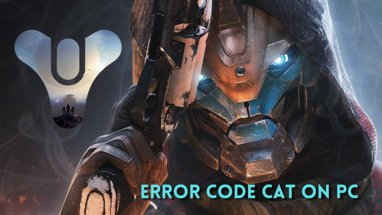 error code cat