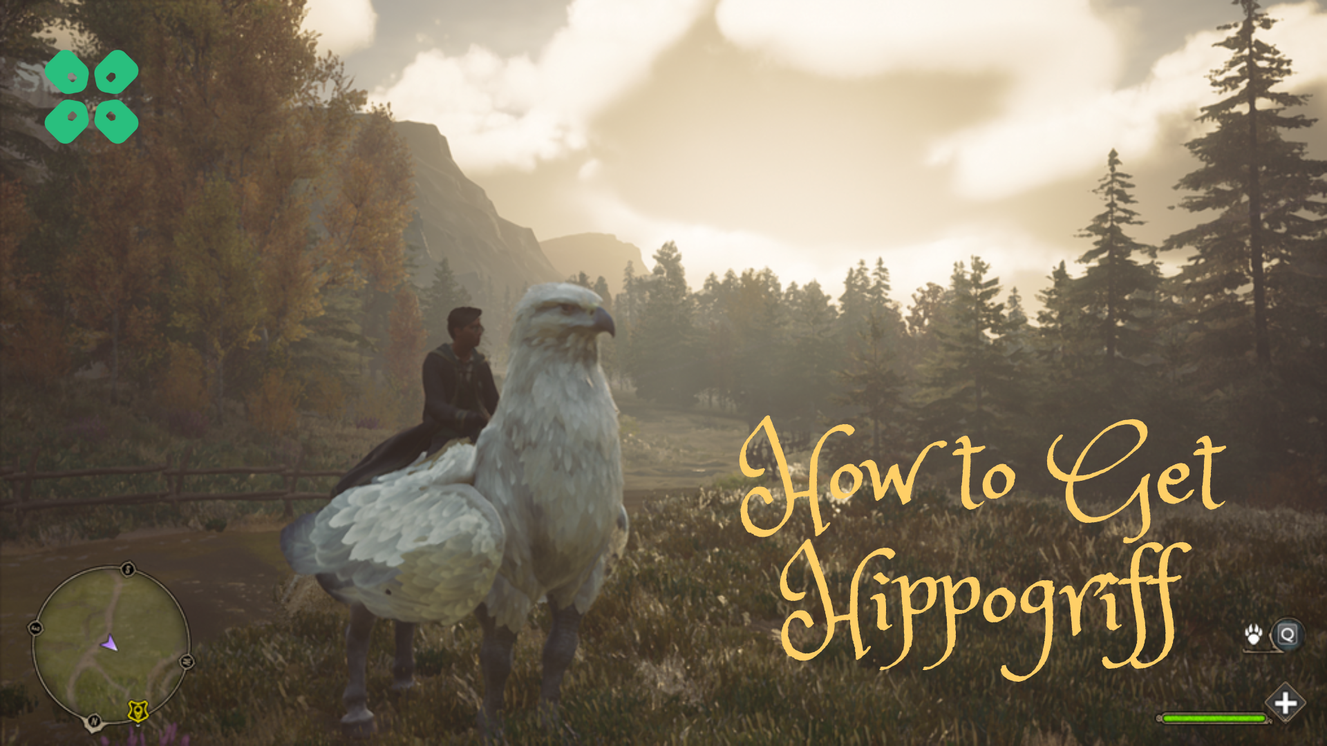 How to Get a Hippogriff