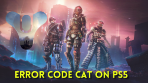 Error Code CAT on Destiny 2