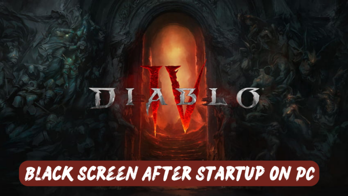 Diablo Black Screen After Startup on PC