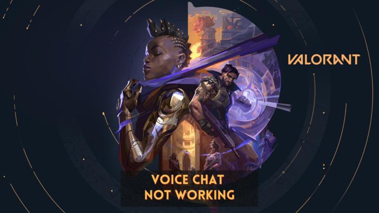 Valorant Voice Chat not working