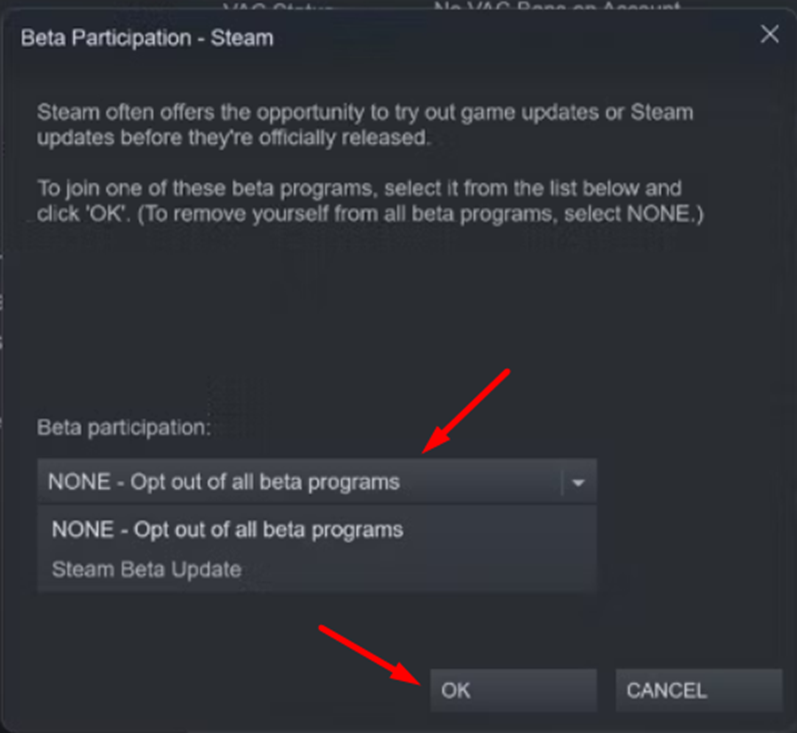 Switching to Steam Beta Program